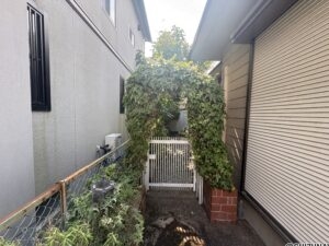 南庭に通じる通路です。アーチ状に植栽がされています。