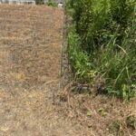 【要農地転用】袋井市堀越　売り土地の画像