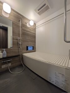 レーベン葵常磐町 CAPITAL TOWER 1701　室内
