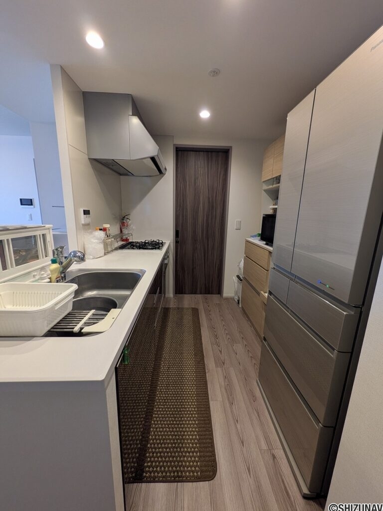 レーベン葵常磐町 CAPITAL TOWER 1701　室内