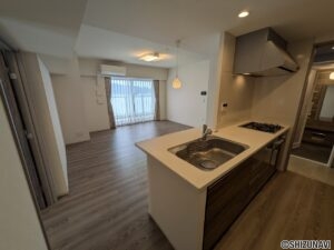 レーベン葵常磐町 CAPITAL TOWER 1701　室内