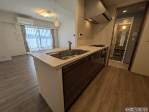 レーベン葵常磐町 CAPITAL TOWER 1701　キッチン