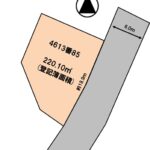 土地形状図