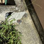 沼津市吉田町　境界