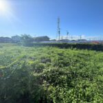 吉田町川尻　土地の画像