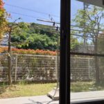 南側専用庭は落ち着いた雰囲気です♪