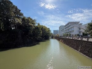 毎日の散歩・ランニングにぴったりです♪
