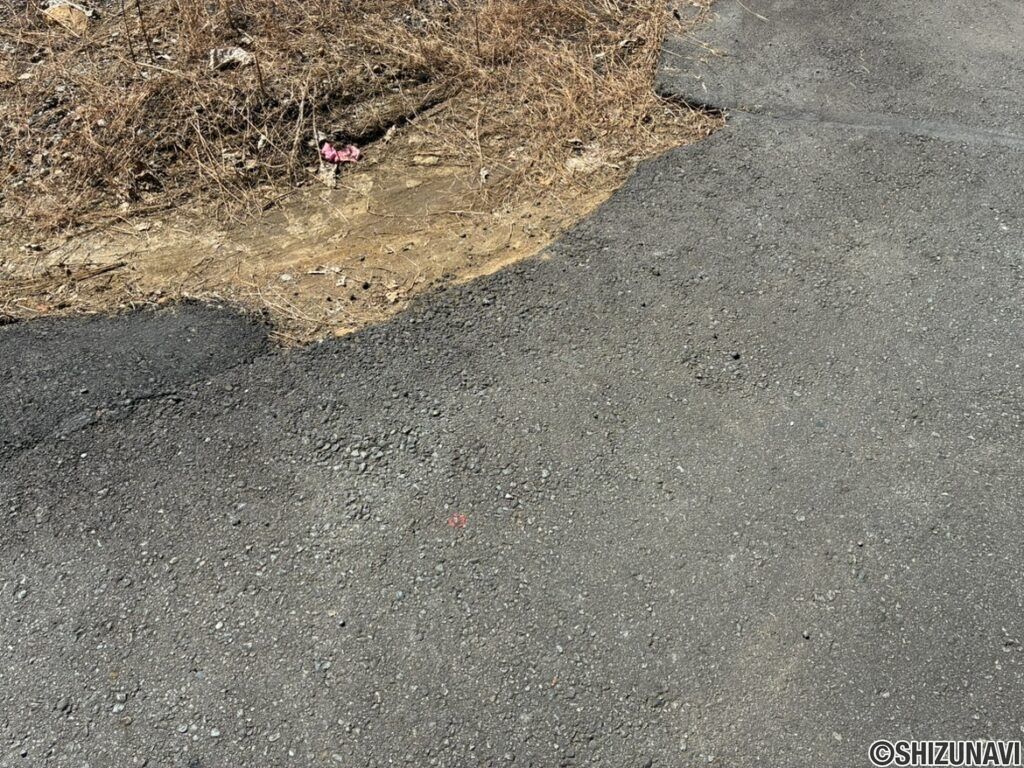 裾野市桃園　外観