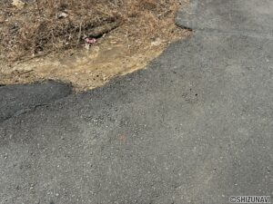 裾野市桃園　外観