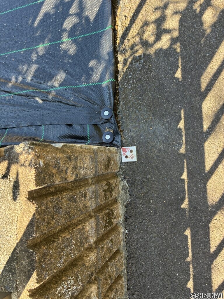 裾野市桃園　外観