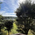 目の前が公園で、自然を身近に感じることができます。