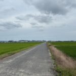 袋井市深見　111.62坪の土地　※要農地転用許可の画像