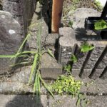 【仲介手数料不要】駿東郡清水町中徳倉　住宅用地の画像