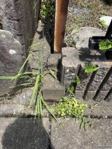 【仲介手数料不要】駿東郡清水町中徳倉　住宅用地の画像