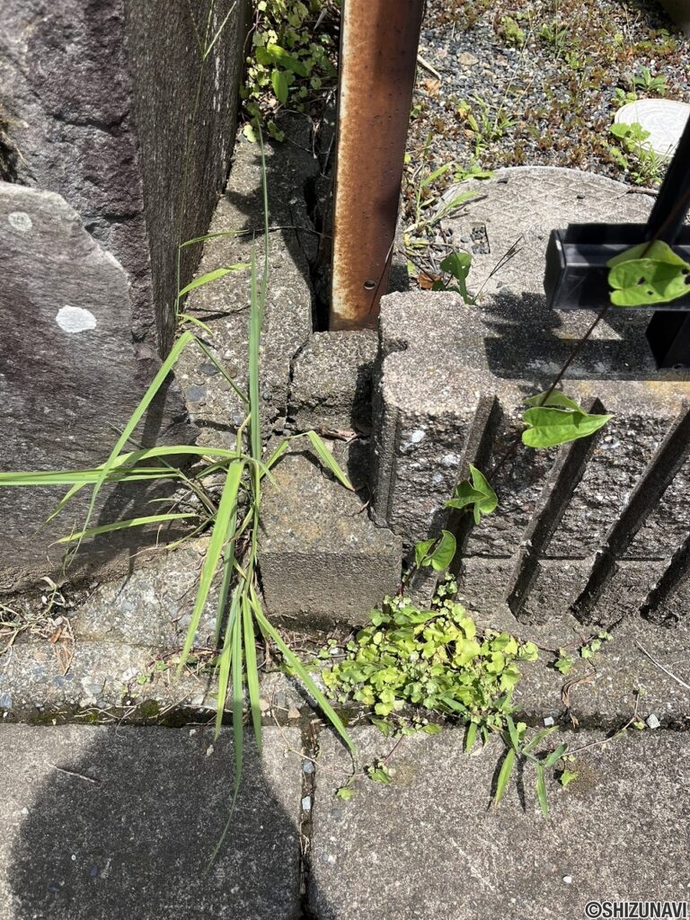 【仲介手数料不要】駿東郡清水町中徳倉　住宅用地の画像