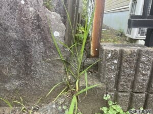【仲介手数料不要】駿東郡清水町中徳倉　住宅用地の画像